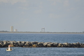Enlarge photo 75