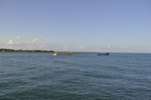 Enlarge photo 82
