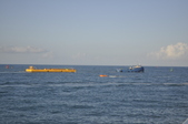 Enlarge photo 85