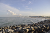 Enlarge photo 86