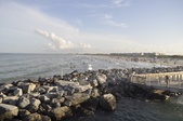Enlarge photo 88