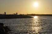 Enlarge photo 106