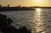Enlarge photo 107