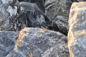 Enlarge photo 116