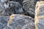 Enlarge photo 117