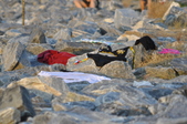 Enlarge photo 118