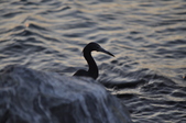 Enlarge photo 128