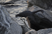 Enlarge photo 131