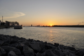 Enlarge photo 133