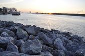Enlarge photo 134