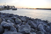 Enlarge photo 135