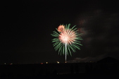 Enlarge photo 176