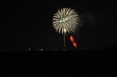 Enlarge photo 205