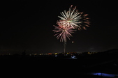 Enlarge photo 248