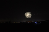 Enlarge photo 254