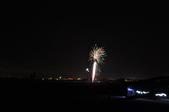 Enlarge photo 263