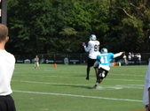 Enlarge photo 41