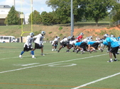 Enlarge photo 86