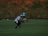 Enlarge photo 312