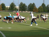 Enlarge photo 341