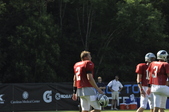 Enlarge photo 541