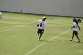 Enlarge photo 373