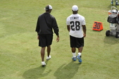 Enlarge photo 425