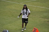 Enlarge photo 531