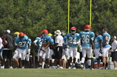 Enlarge photo 47