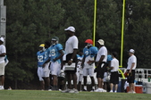 Enlarge photo 58