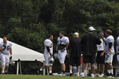 Enlarge photo 113