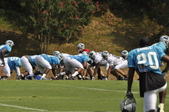 Enlarge photo 121