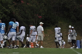 Enlarge photo 136