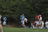 Enlarge photo 152