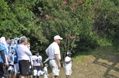 Enlarge photo 169