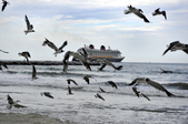 Enlarge photo 58