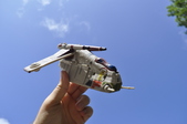 Enlarge photo 14