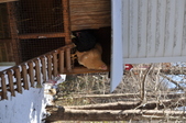 Enlarge photo 34