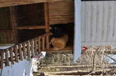 Enlarge photo 35