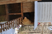 Enlarge photo 36
