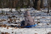 Enlarge photo 44
