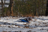 Enlarge photo 46