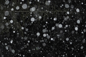 Enlarge photo 52