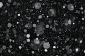 Enlarge photo 53