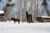 Enlarge photo 70