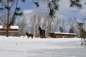 Enlarge photo 72
