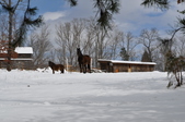 Enlarge photo 73