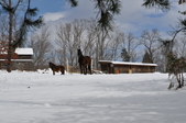 Enlarge photo 74