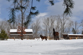 Enlarge photo 76