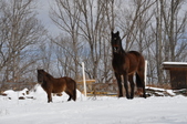 Enlarge photo 77